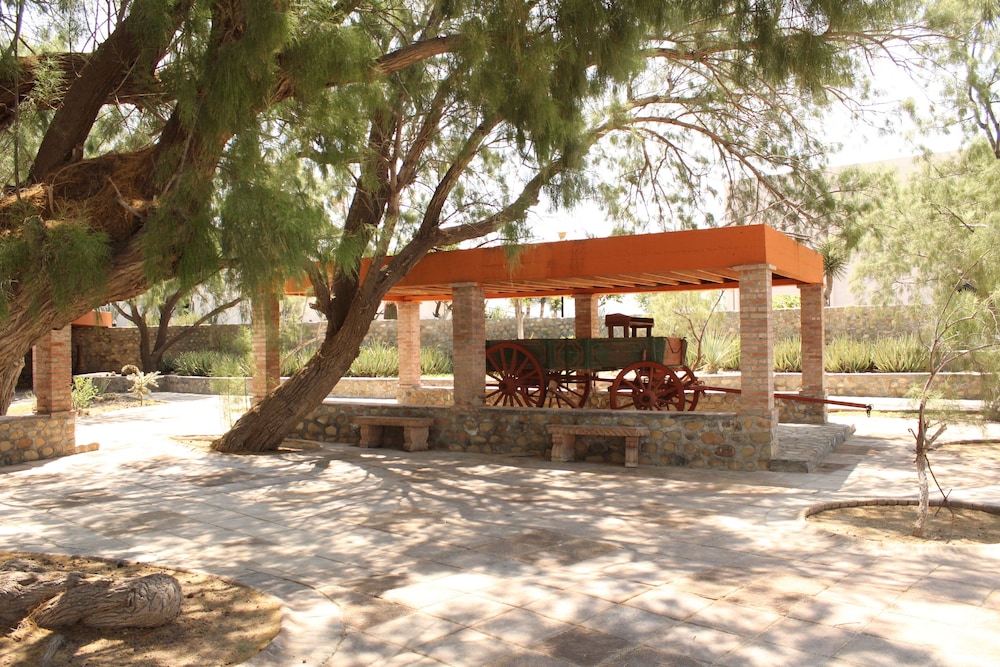 Termas de San Joaquin 35/50