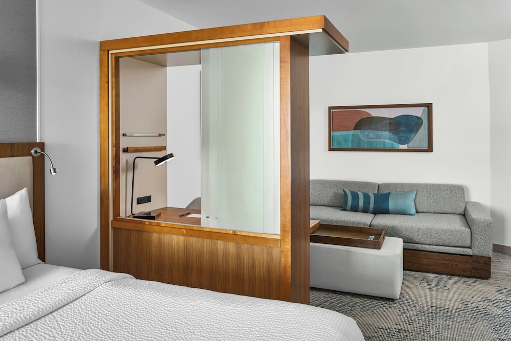 SpringHill Suites Lumberton 18/59