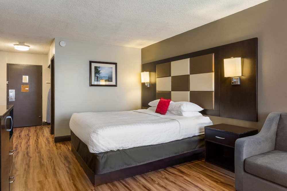 ROOM, KING BED, ACCESSIBLE