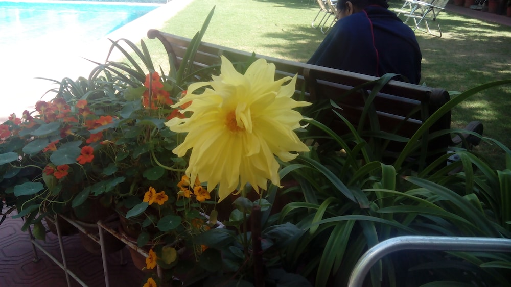 Hotel Megh Niwas 35/46