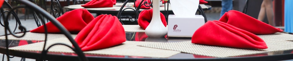 Hotel Imperial Kathmandu 9/19