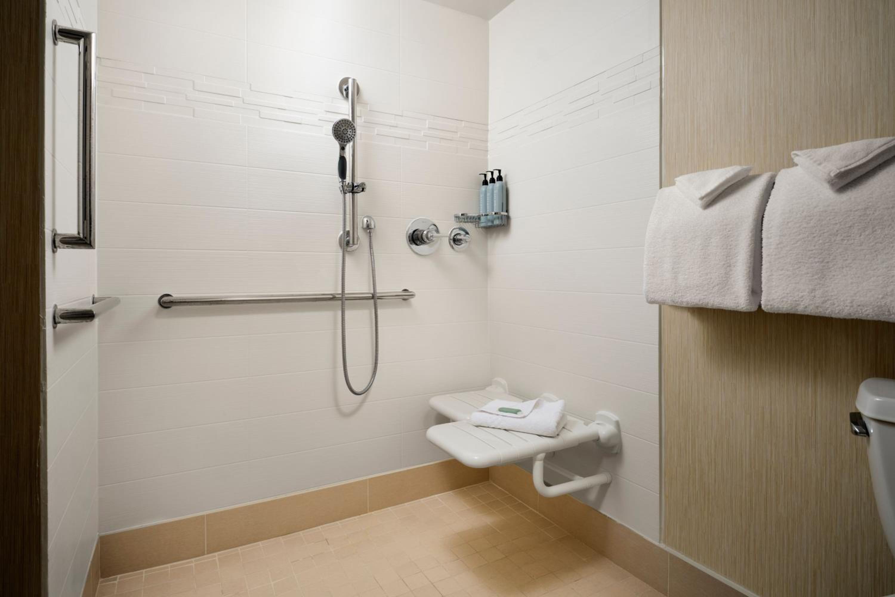 1 Bedroom, Suite, Sofa, Residence Inn by Marriott Philadelphia Conshohocken 7/8