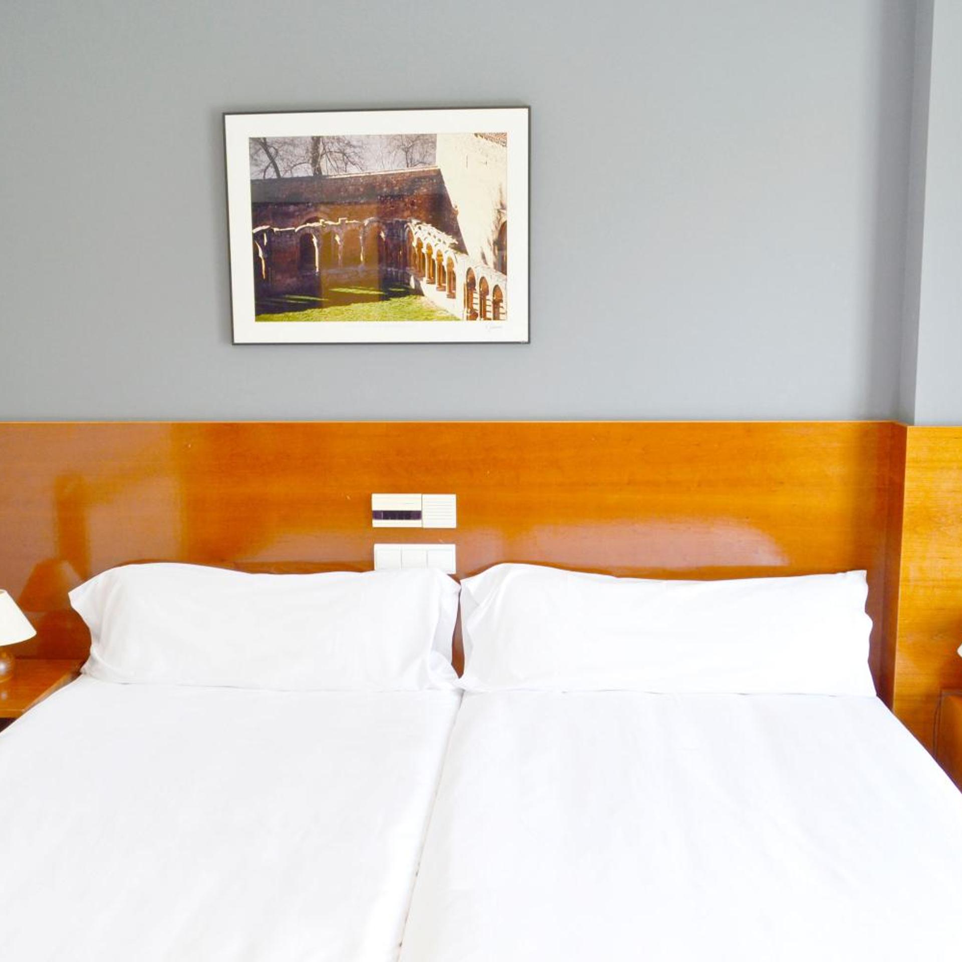 غرفة قياسية بسرير مزدوج أو سريرين منفصلين، Hotel Alda Ciudad de Soria 6/9