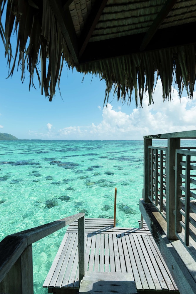 Hilton Moorea Lagoon Resort and Spa 48/81