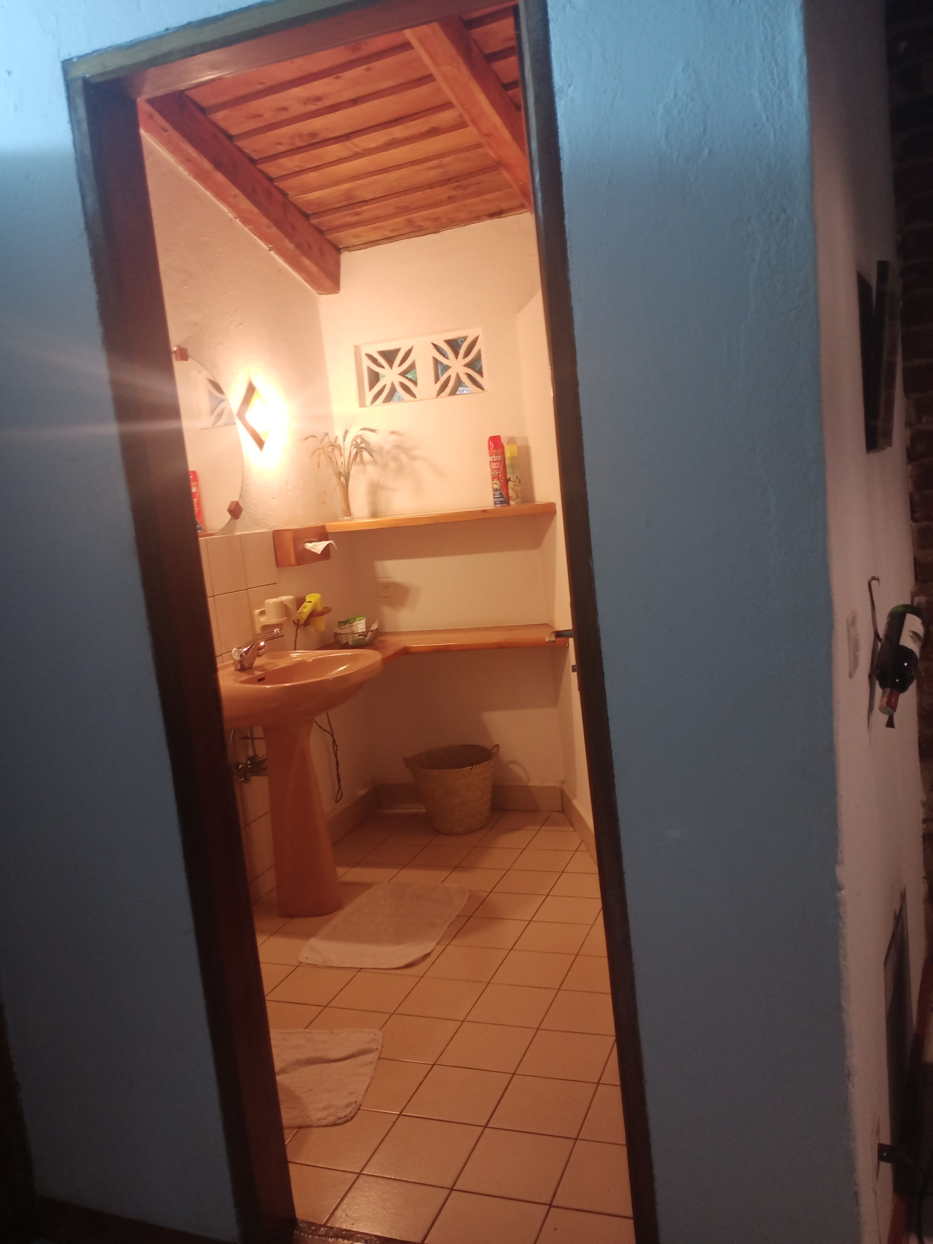 Dik Dik 24/55