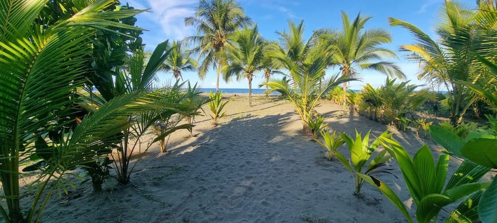 Hotel Playa Westfalia 25/42