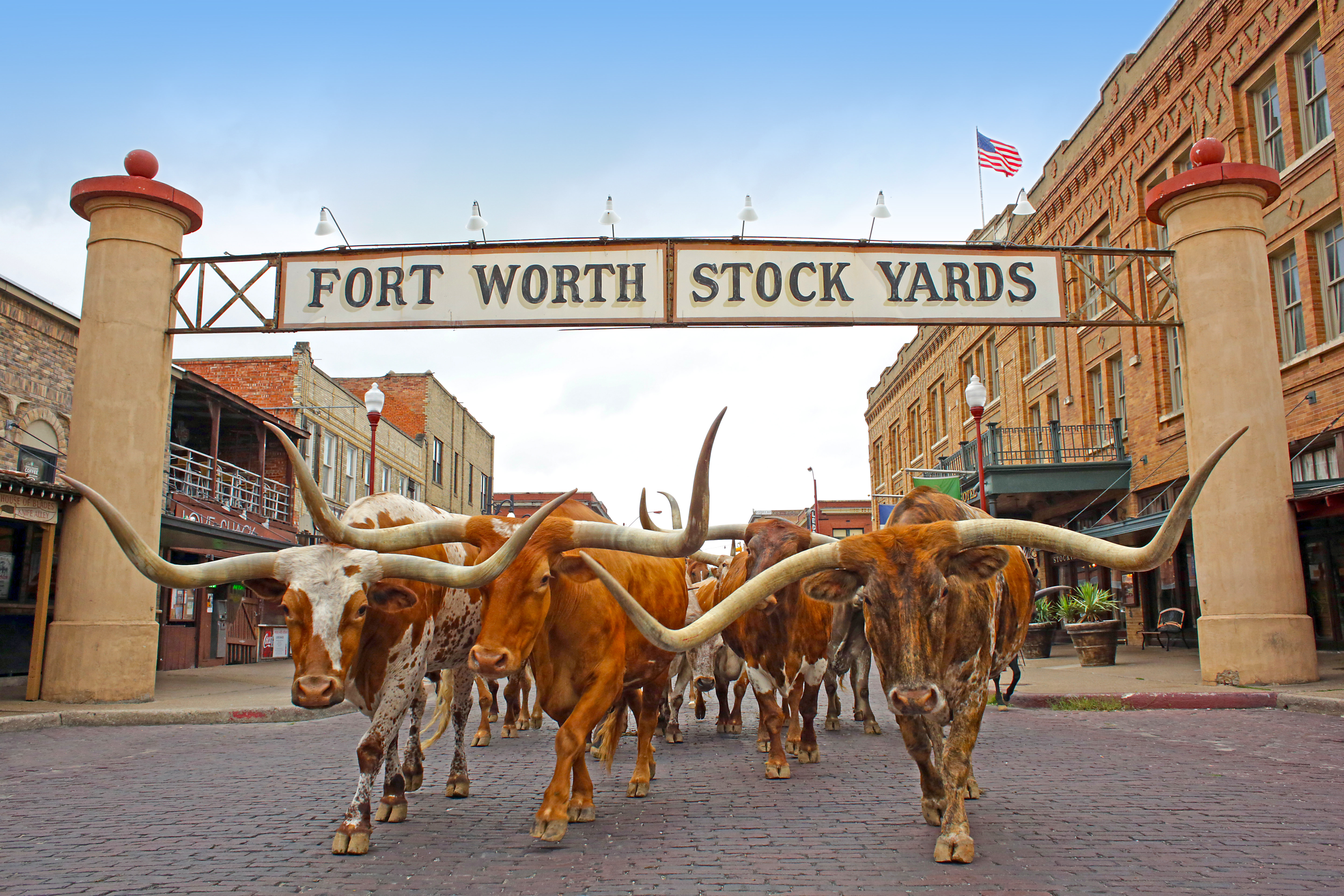 Holiday Inn Express Hotel And Suites Fort Worth Southwest I 20 52/56