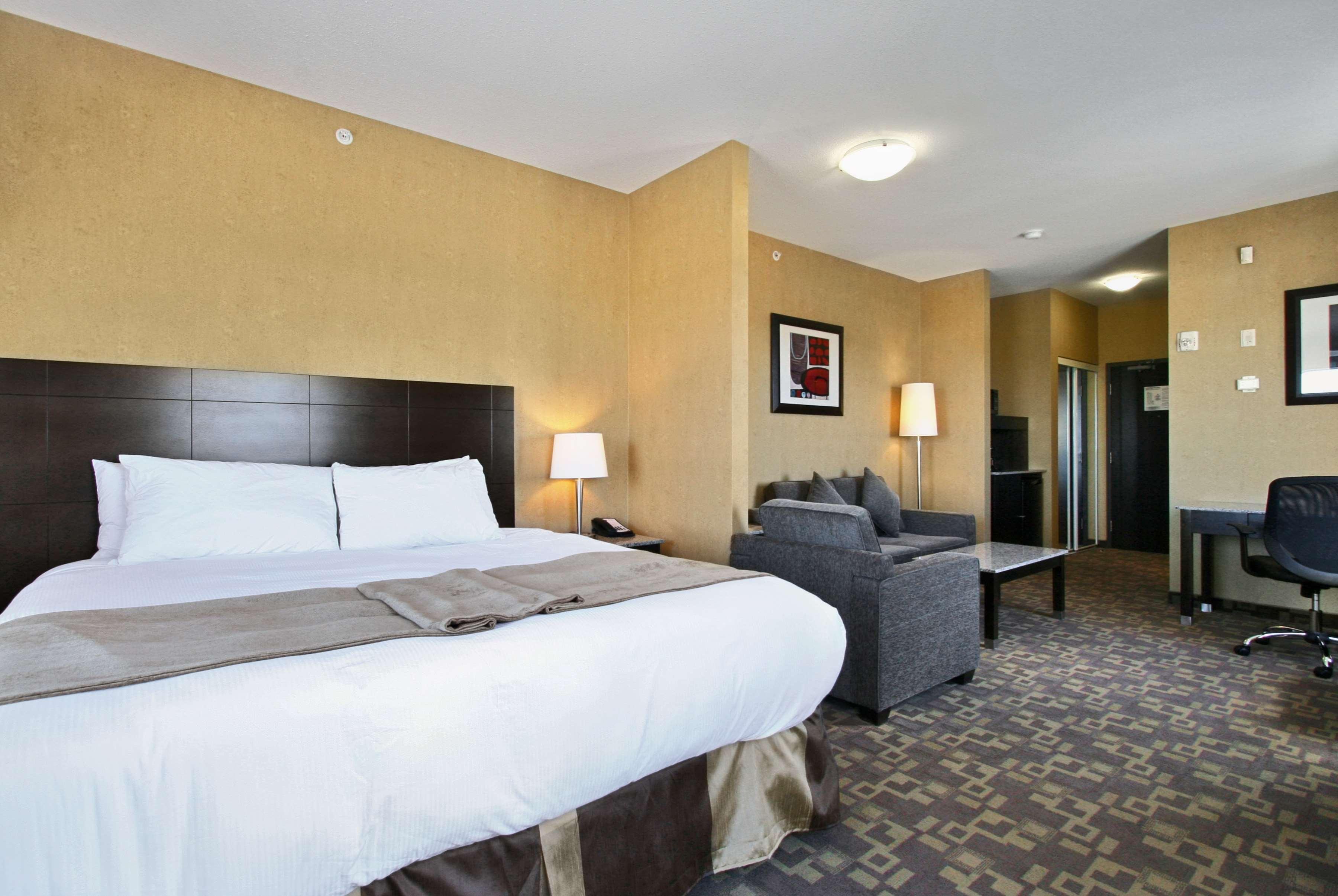 Suite, King Bed