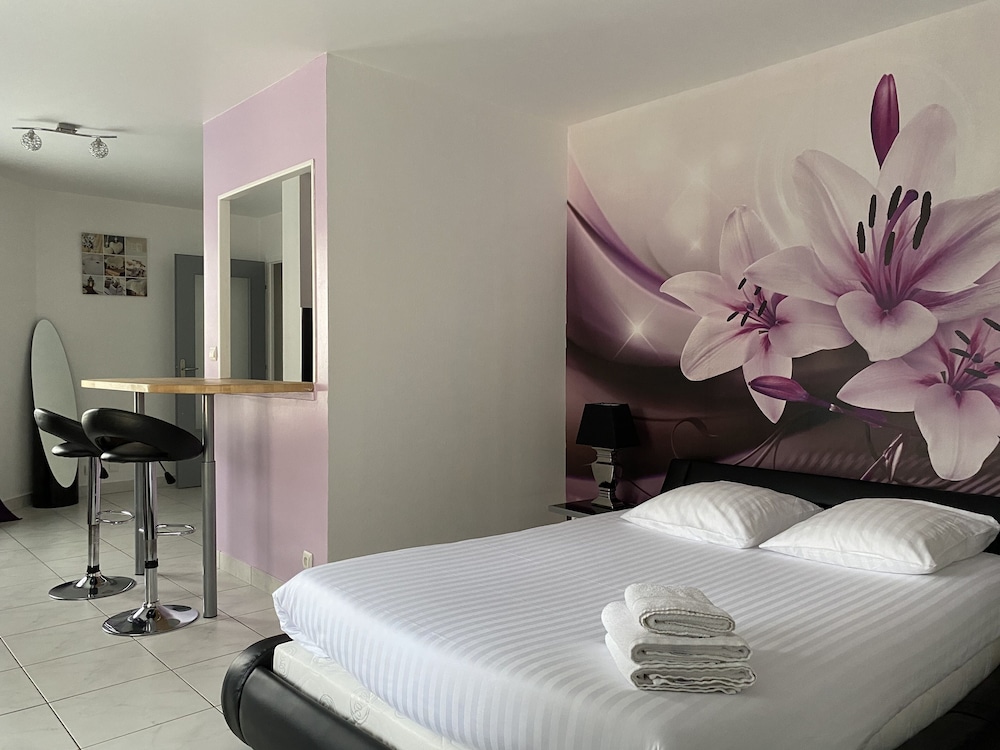 Logis Hotel Du Cirque 34/73