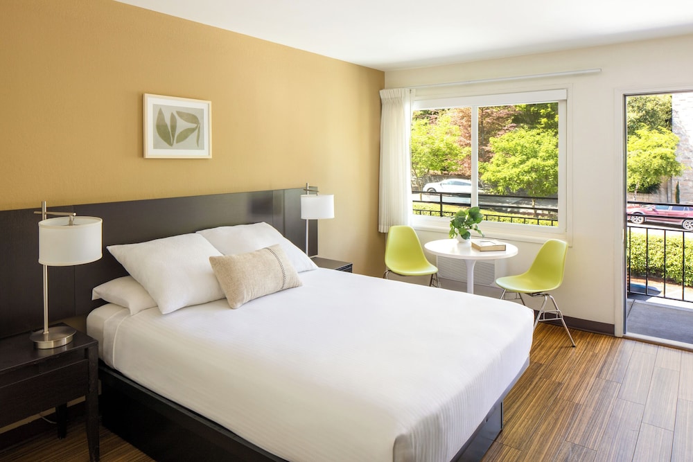 Room, Single, Queen Bed, Accessible