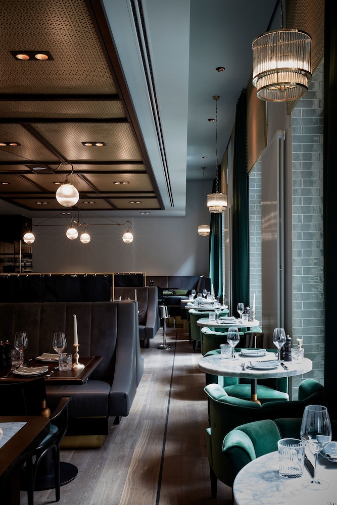 Tortue Hamburg 49/59