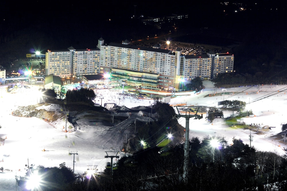 Welli Hilli Park 4/49
