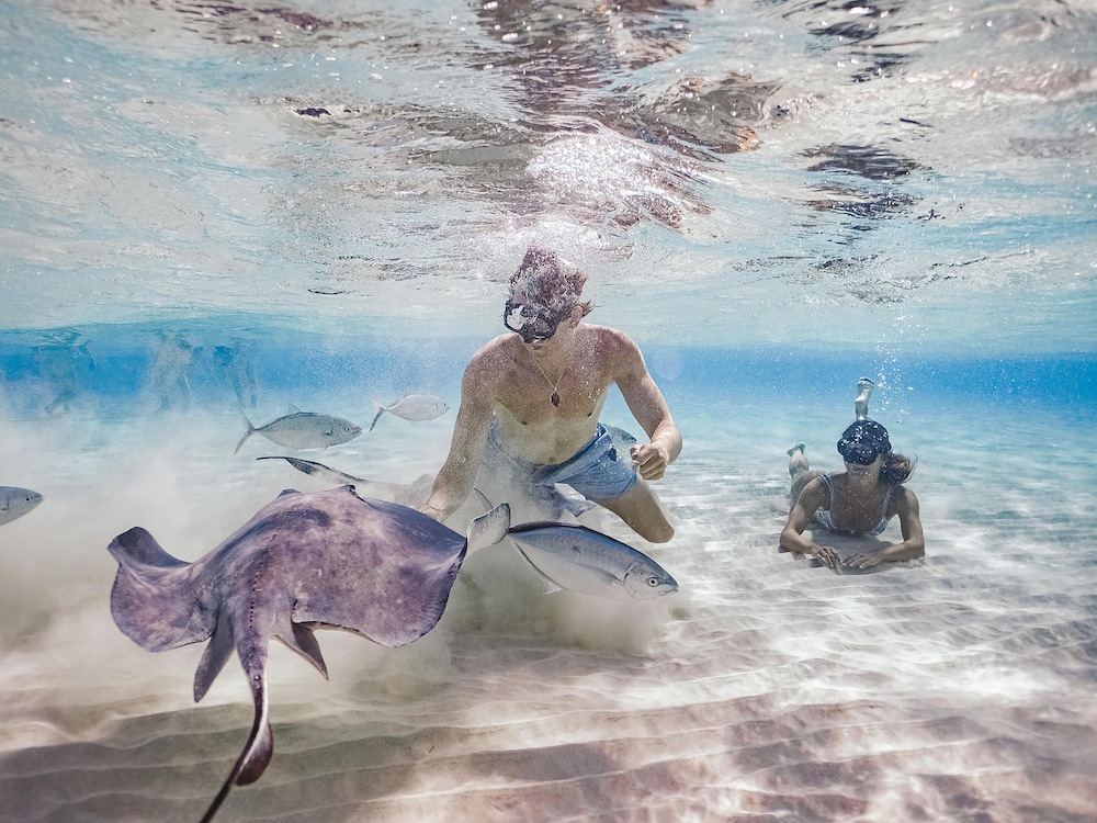 Grand Hyatt Grand Cayman Resort Spa 31/38