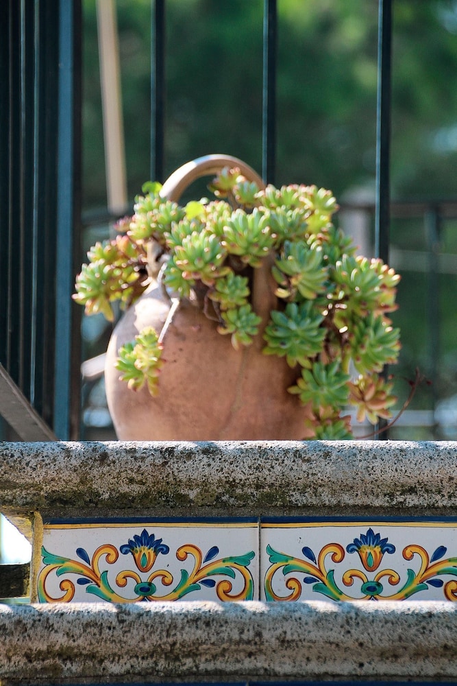 Bed and Breakfast Massico 写真2
