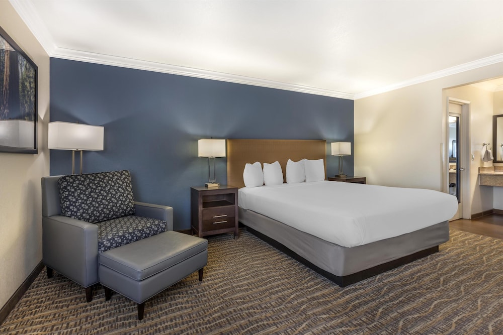 Standard, King Bed, Best Western Town & Country Lodge 4/10