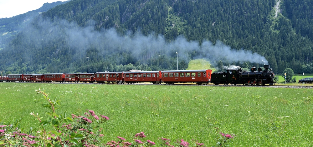 Pension Birkenhof 44/50