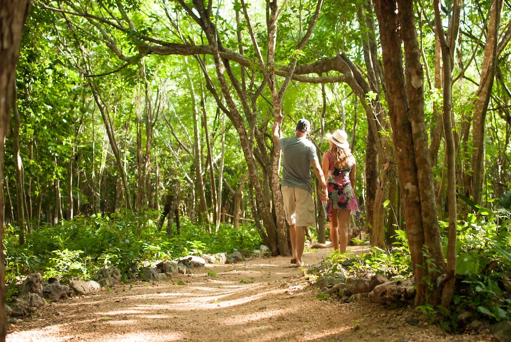 Akumal Natura Glamping 35/50