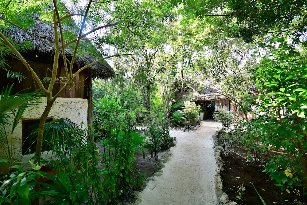 Bellevue Guesthouse 40/50