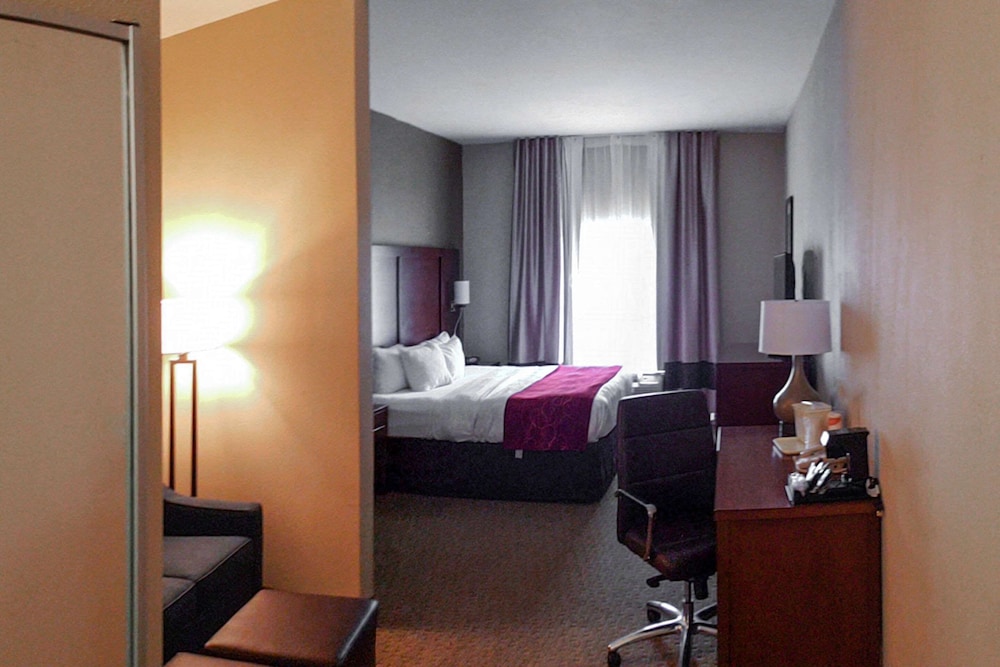 Comfort Suites South Point Huntington 15/43
