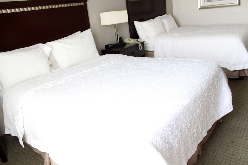 Hampton Inn Suites Mount Pleasant 15/61