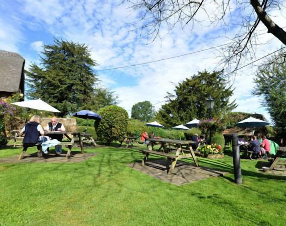The Falkland Arms 36/50