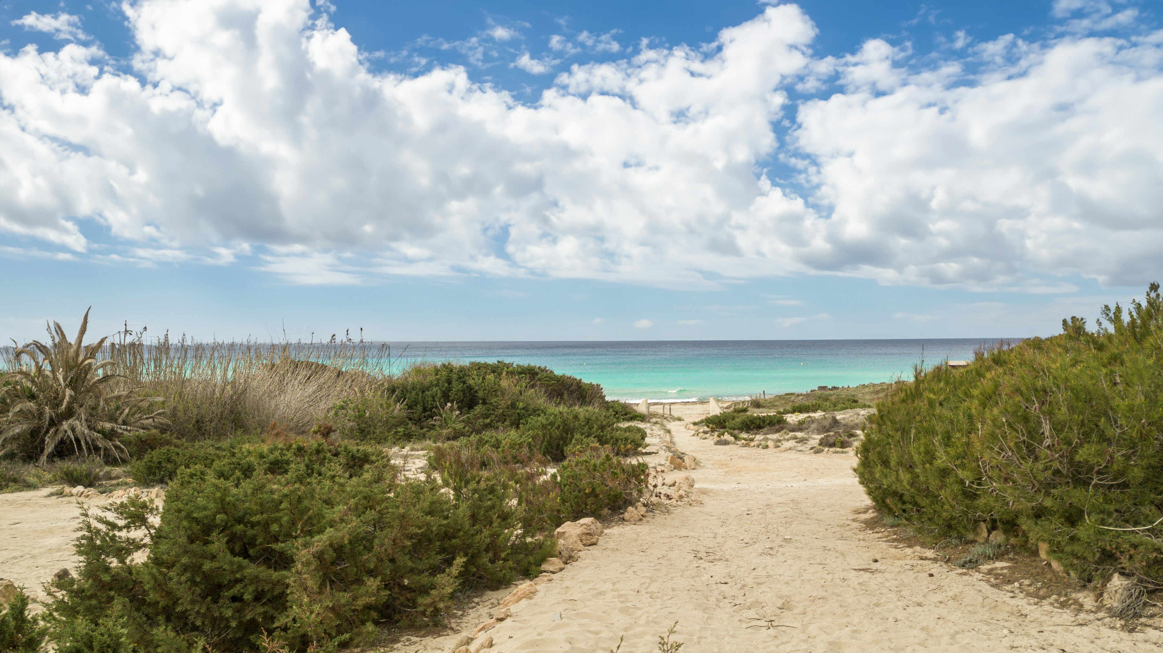 Dunas de Formentera 39/50