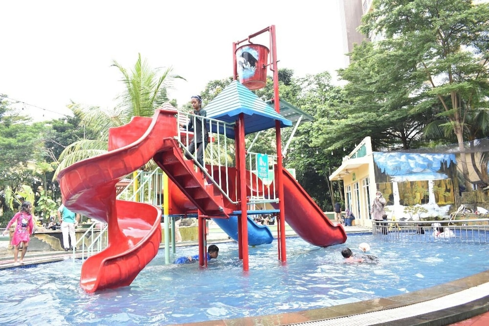 Lorin Sentul 49/53
