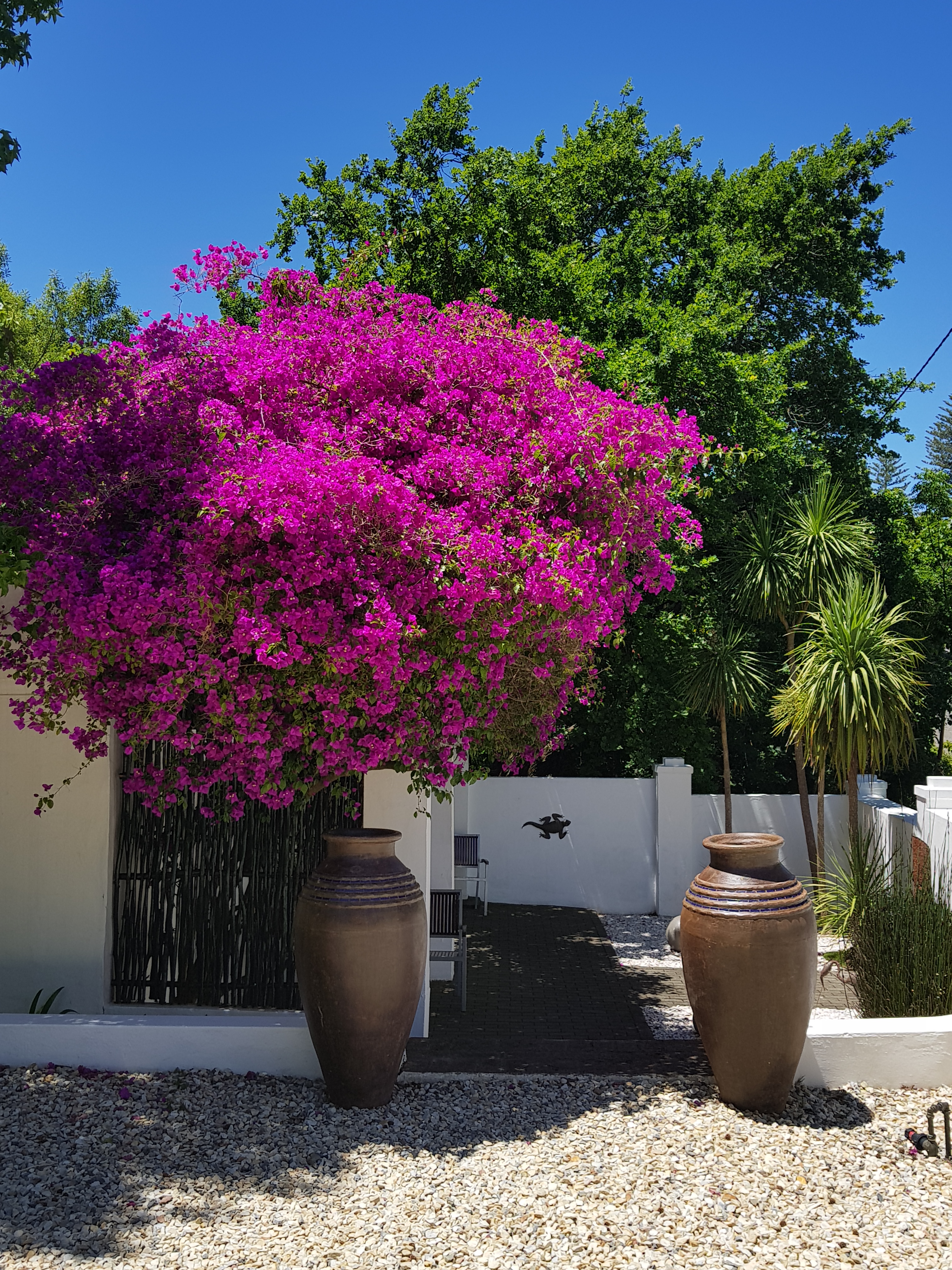 De Kloof Luxury Estate Hotel 34/50