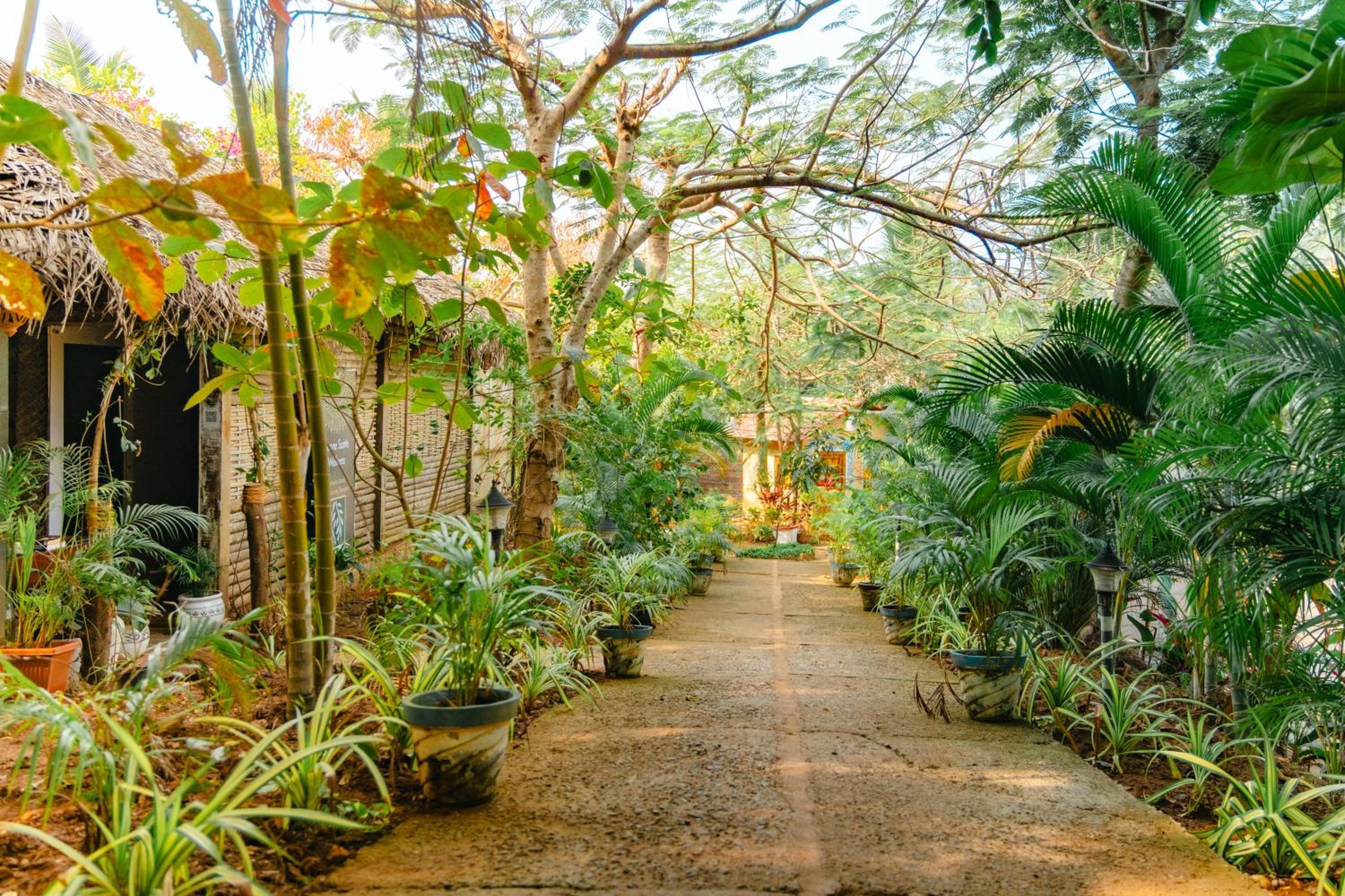 The Bay Agonda 48/50