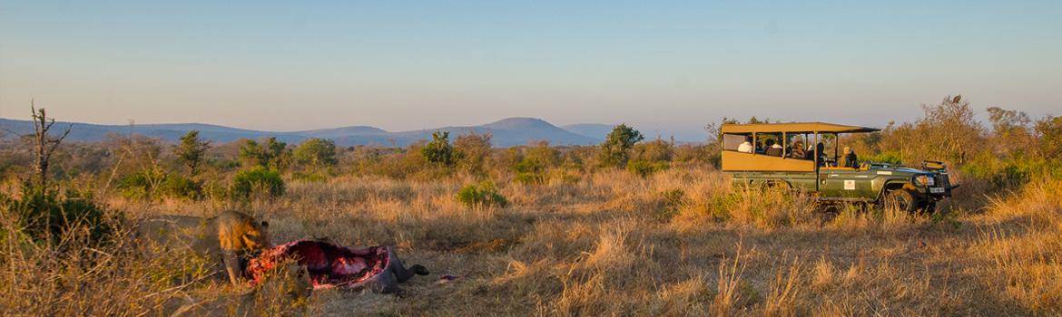 Shishangeni Private Lodge 14/16
