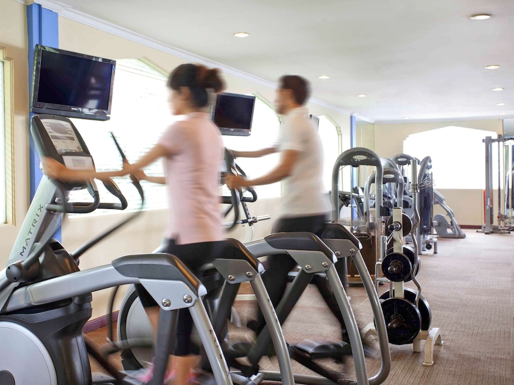 Ibis Styles Solo 39/66