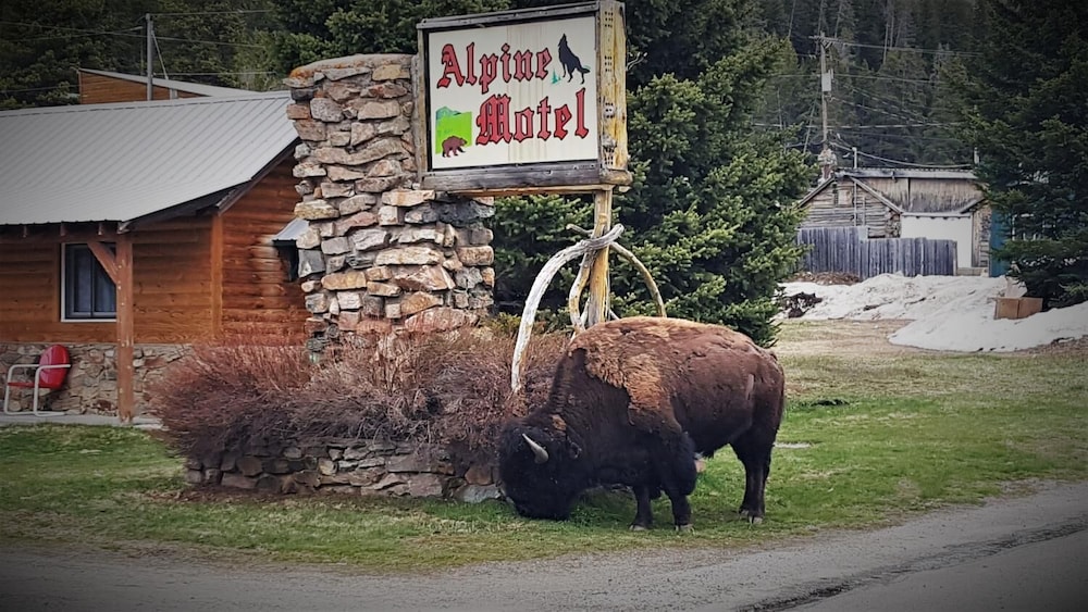 Alpine Motel 22/25