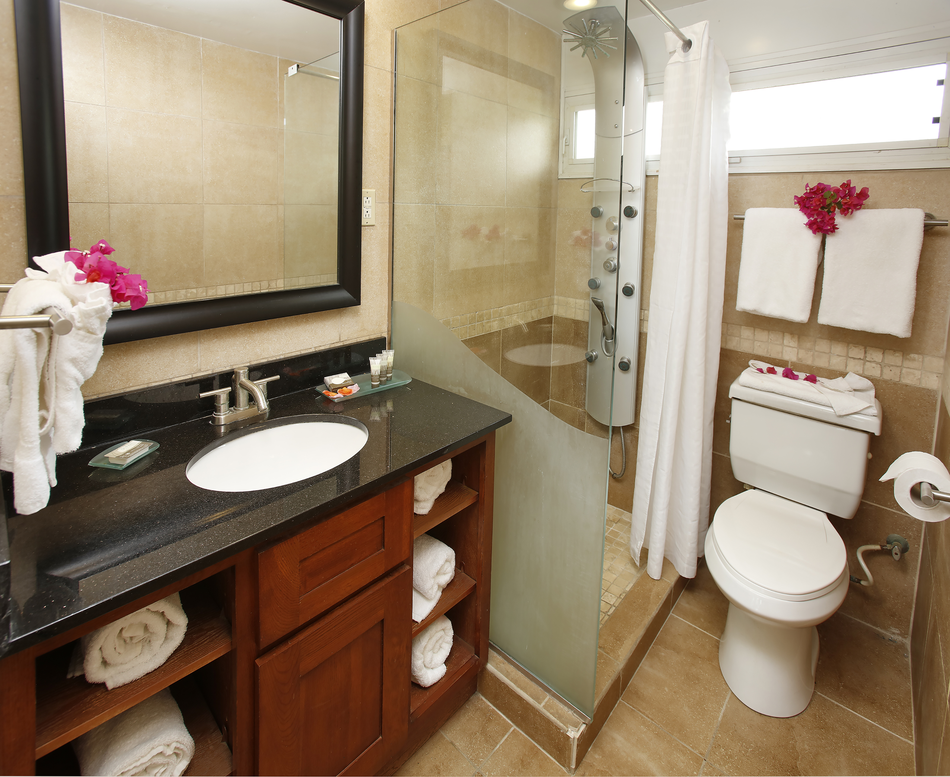 استوديو، Divi Flamingo Beach Resort 7/7