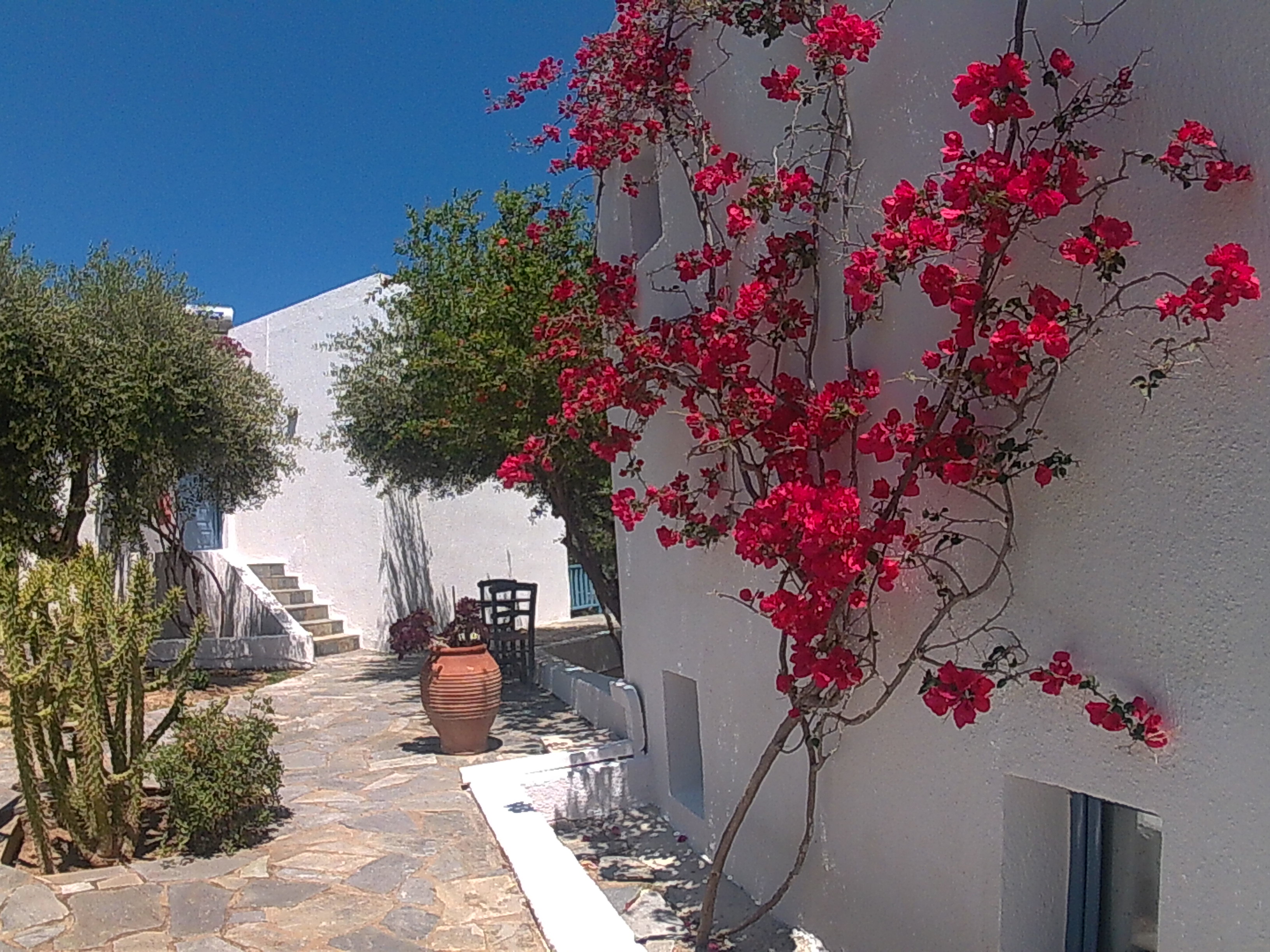 Palatia Village Apartments 19/21