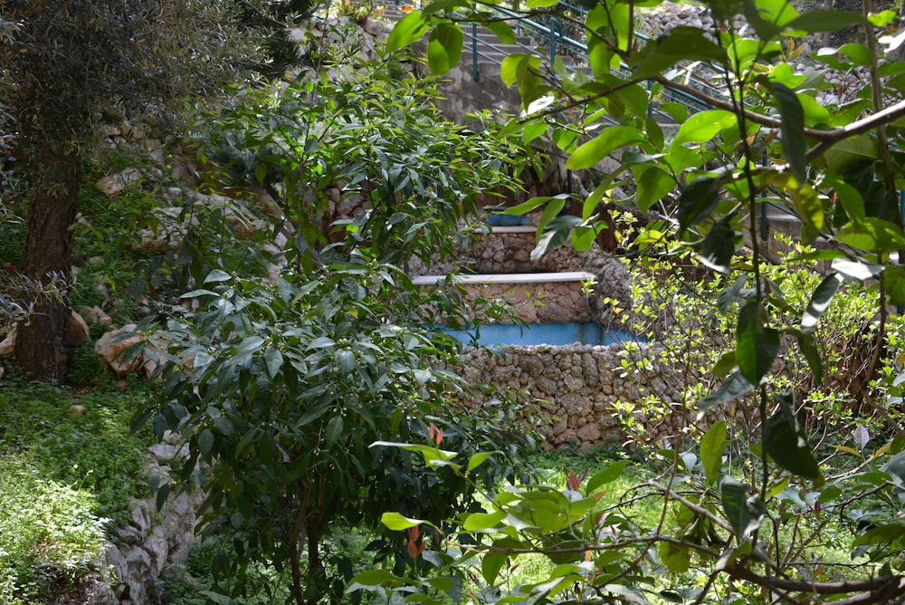 MONTEVERDE HOTEL 59/64
