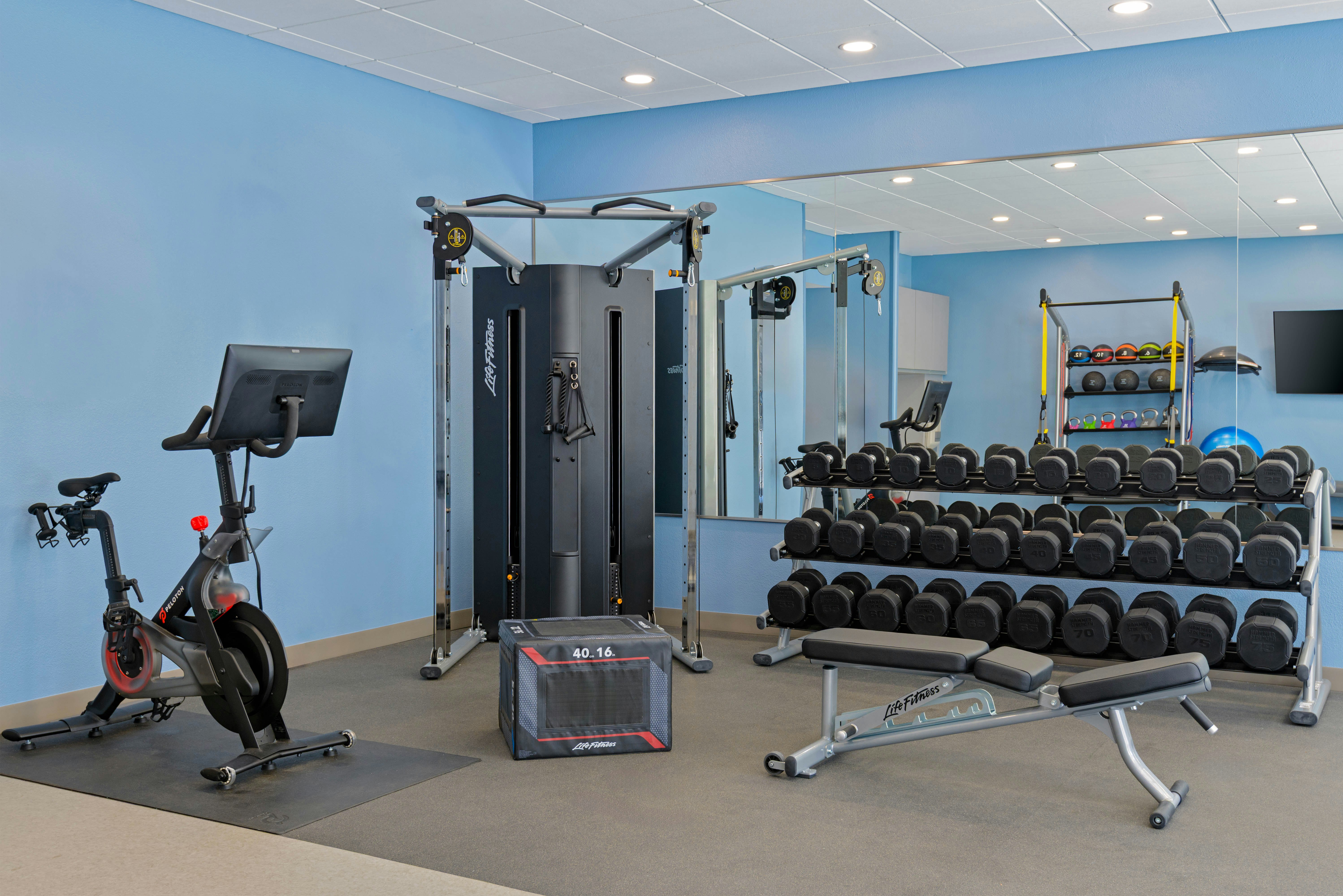 Homewood Suites By Hilton Orlando-Ucf Area 32/66