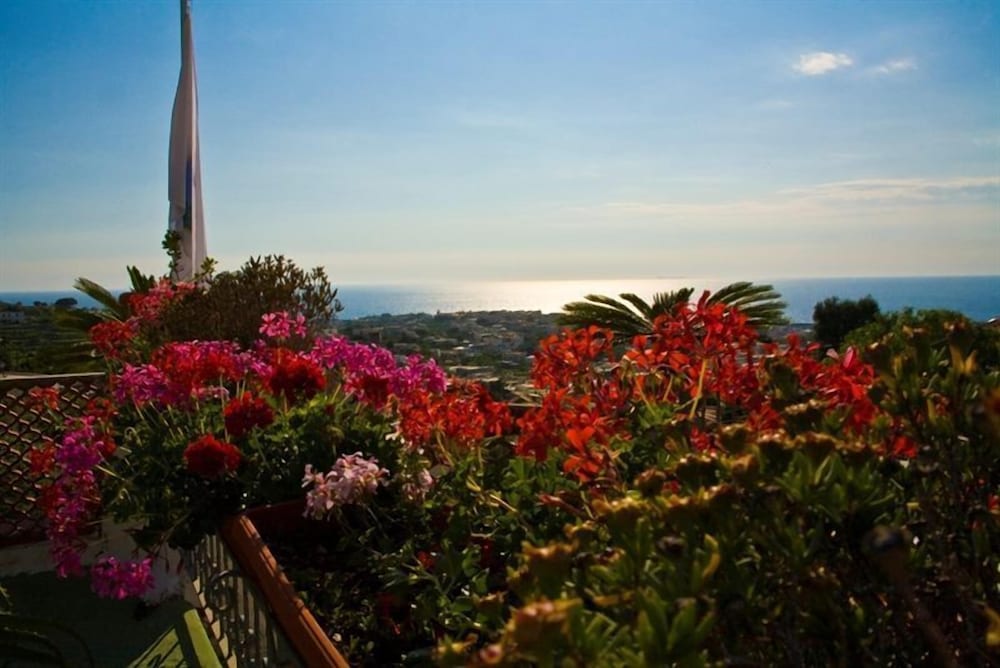 Parco Hotel La Rosa Forio D Ischia 53/60