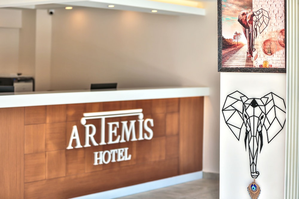 Kas Artemis Hotel 12/50