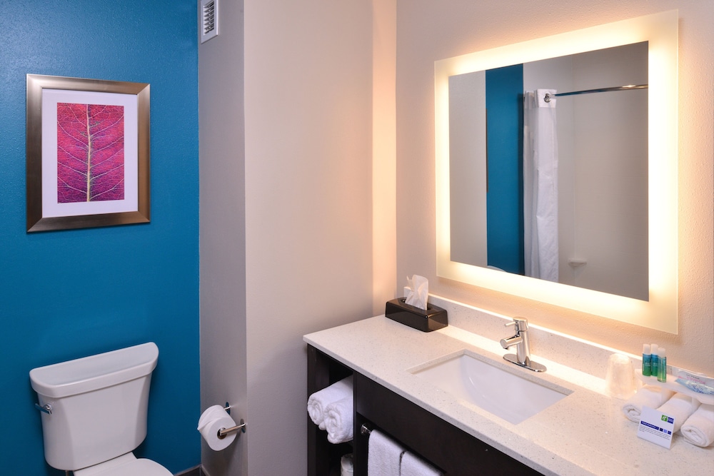 Holiday Inn Express Suites Bryant Benton Area 21/71