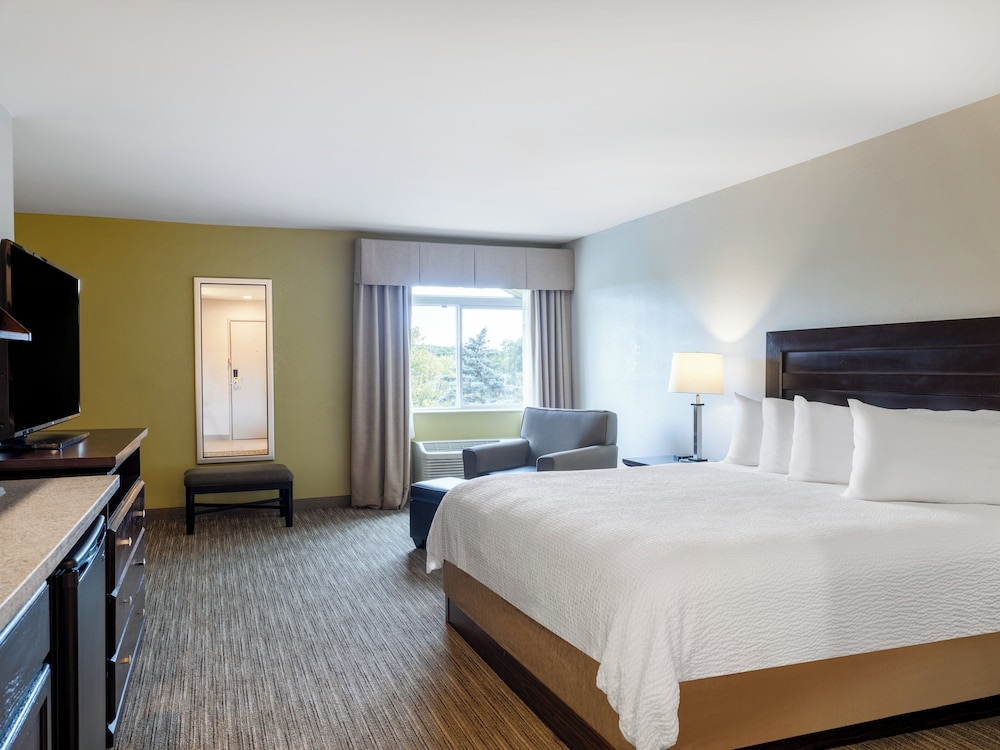 Suite, King Bed, Extra Floor Space