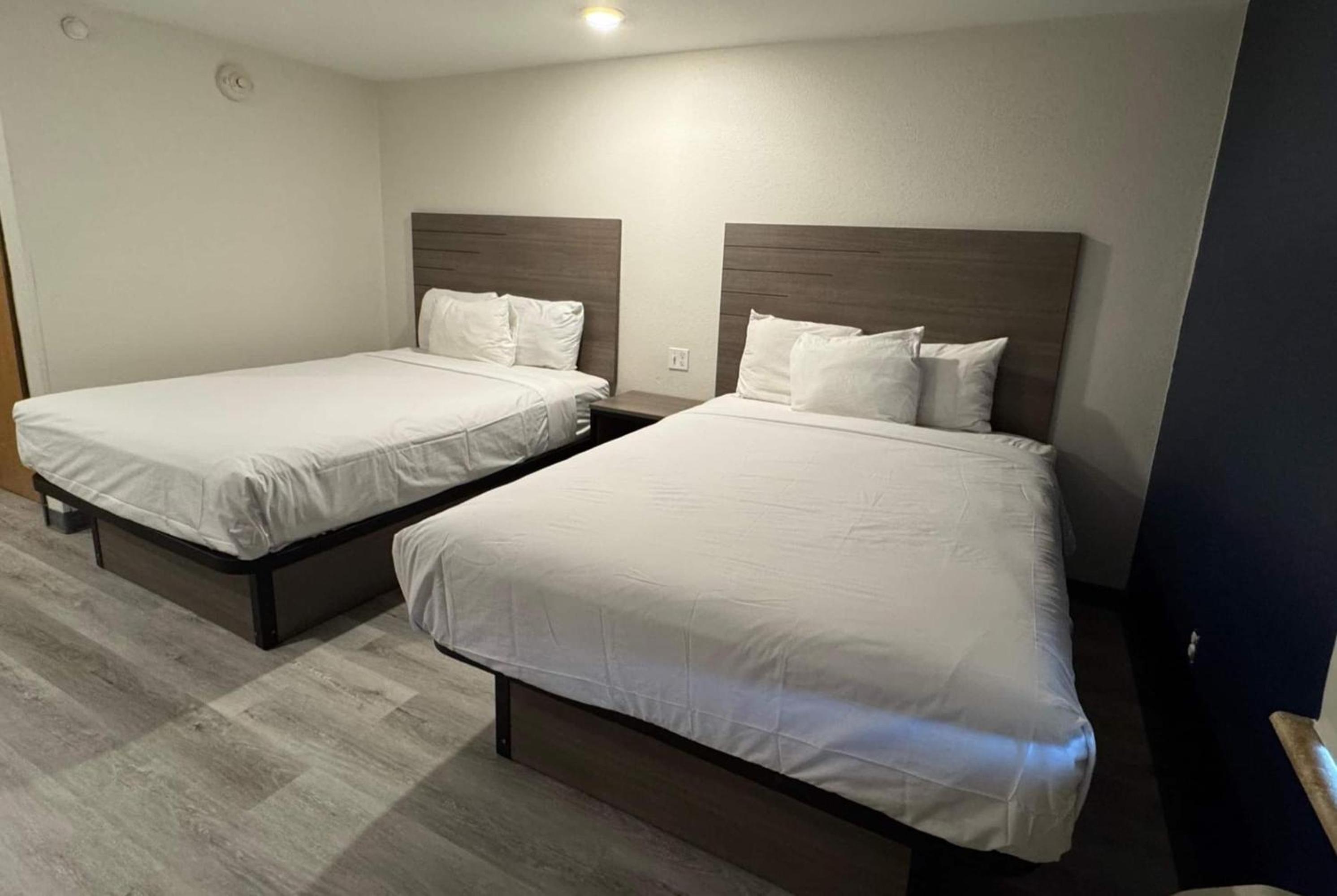 Studio, 2 Queen Beds