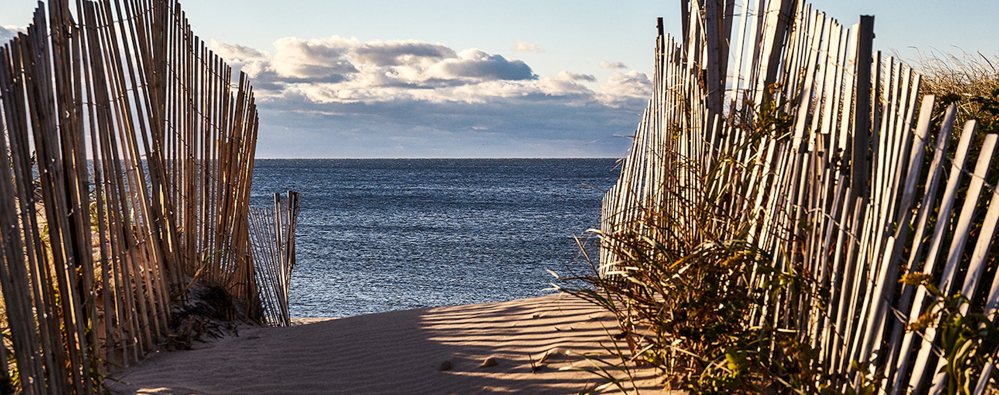 Marram 11/13
