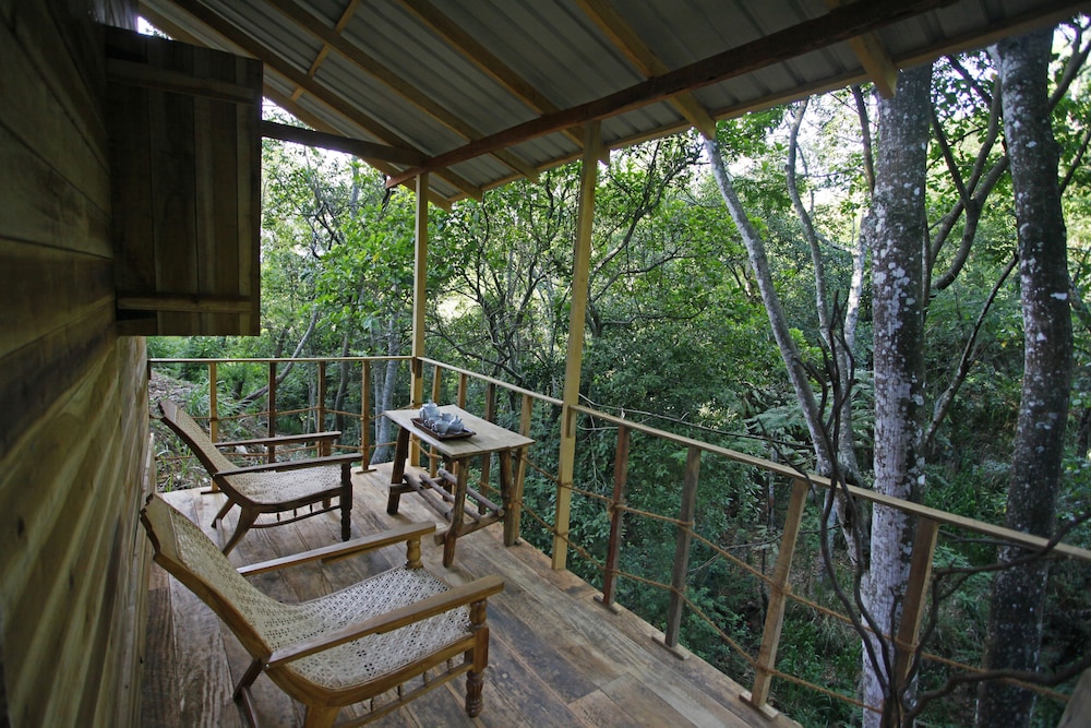 Ella Eco Lodge 13/38