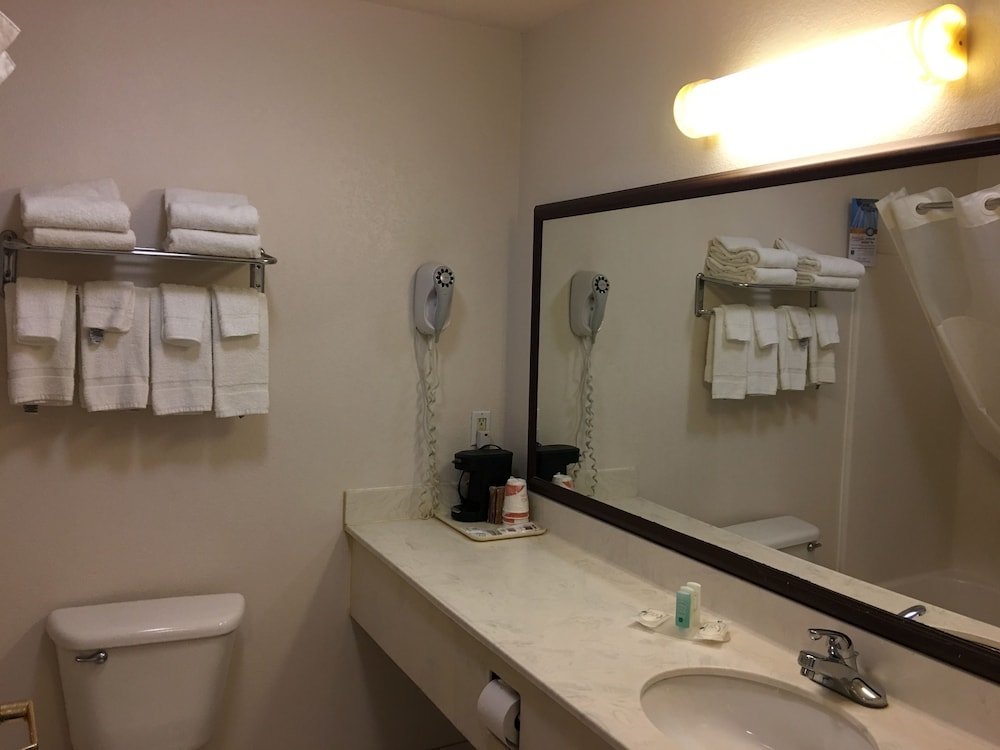Quality Inn Kalamazoo near Wings Stadium 12/40