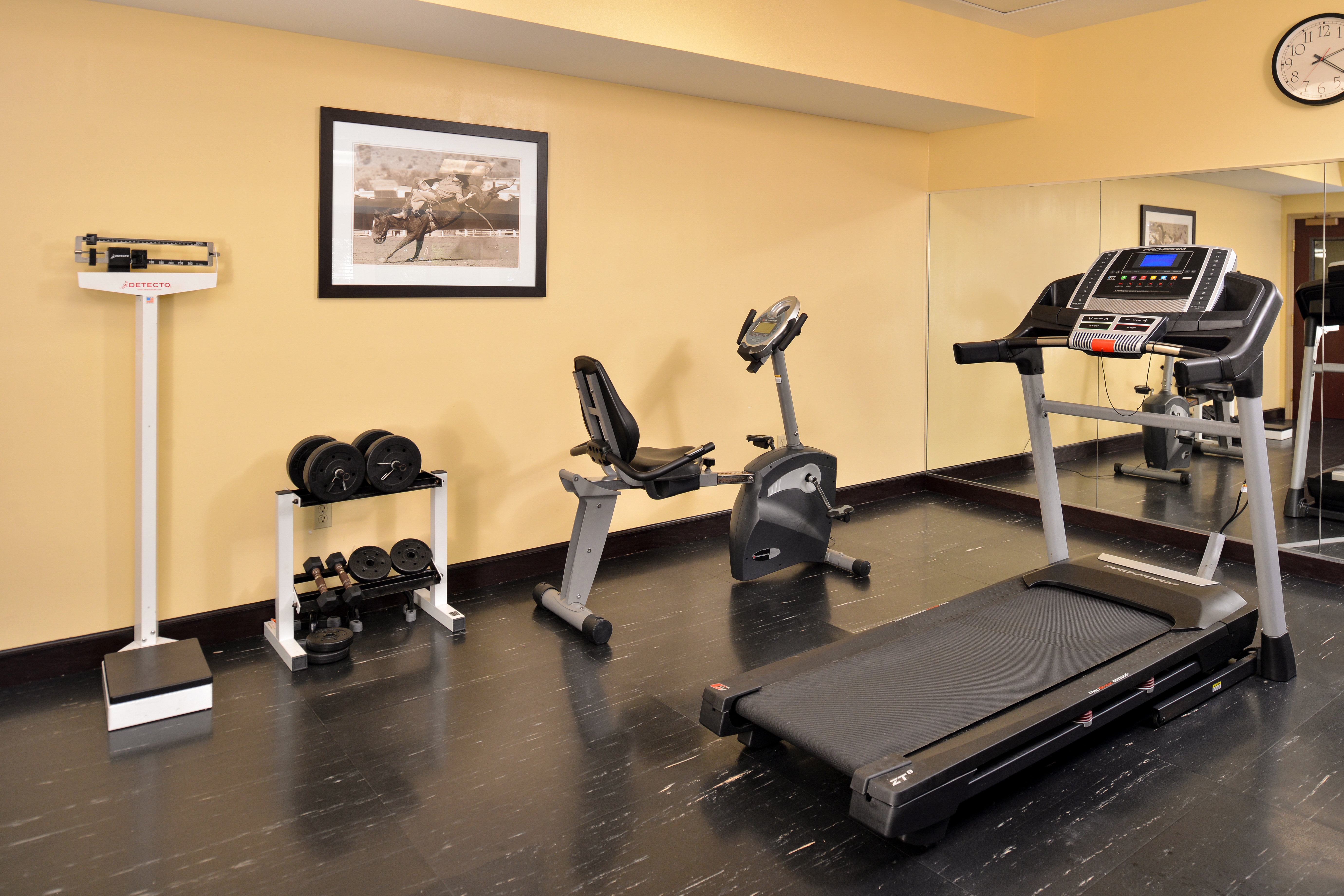 Holiday Inn Express & Suites Austin SW - Sunset Valley, an IHG Hotel 30/50