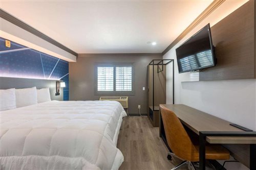 Room, King Bed