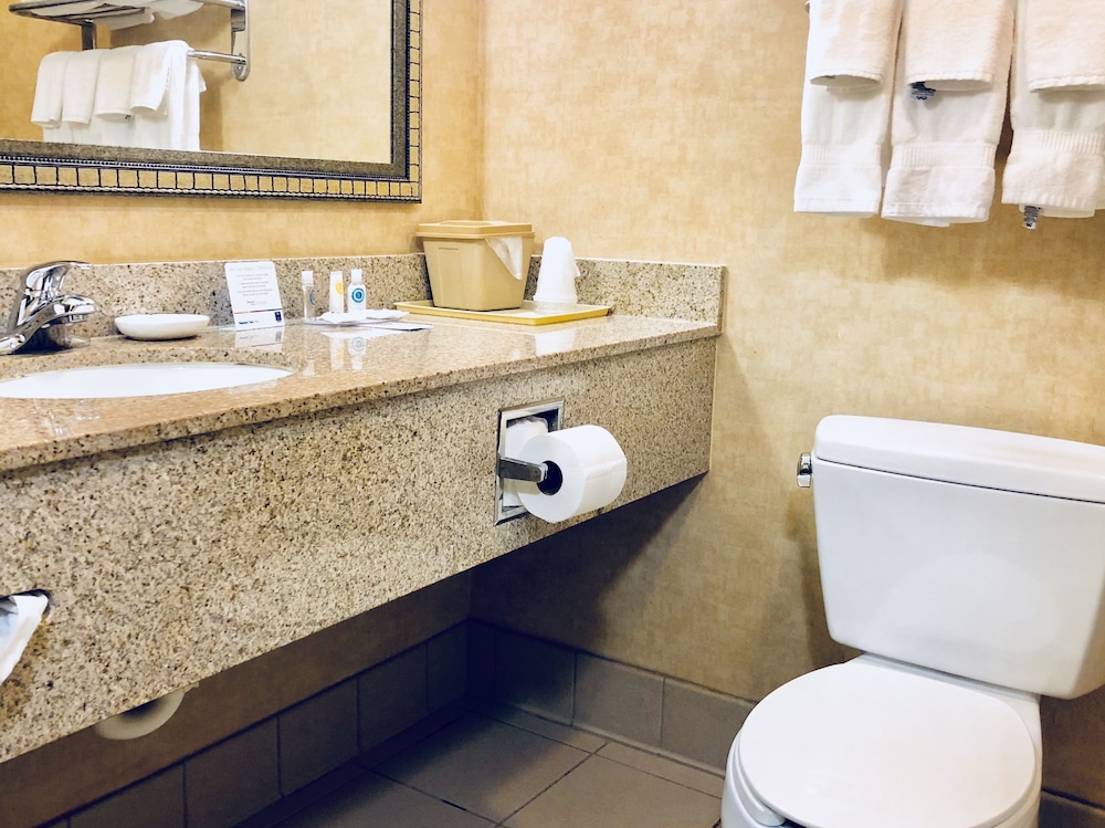 Comfort Inn & Suites Montgomery Eastchase 23/40