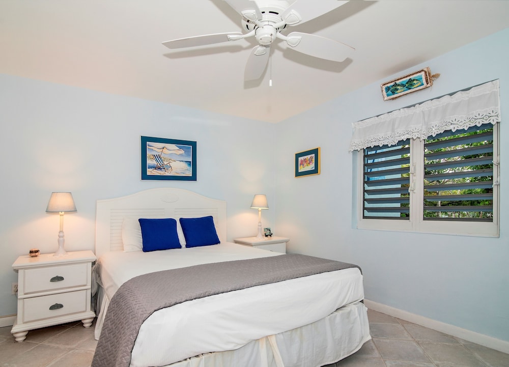 Grace Bay Beach Ocean Villas 12/50