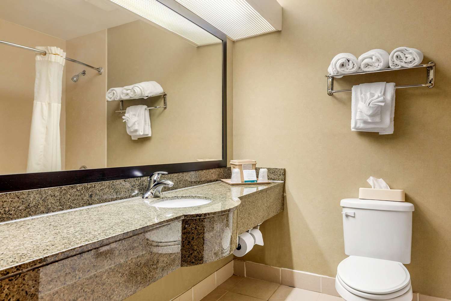جناح بسريرين كوين، Quality Suites Sherman, TX 4/4