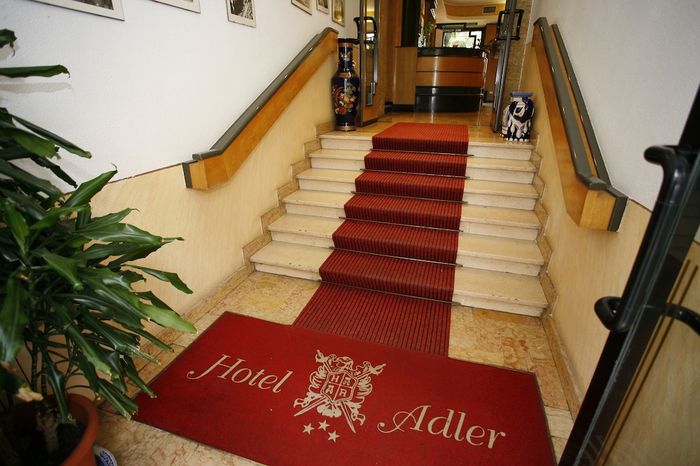 Adler photo5